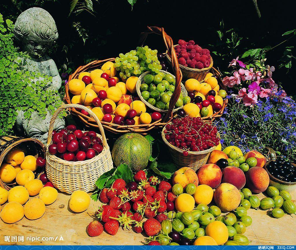 好看的秋天果实图,寻找秋天的果实图片,丰收的果实图片大全_大山谷图库